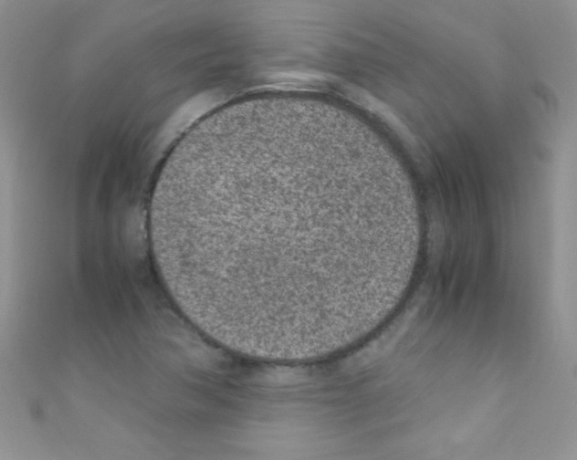 X0000110731362200907241219