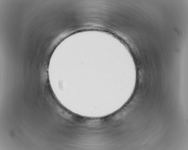 X0000110731363200907241219