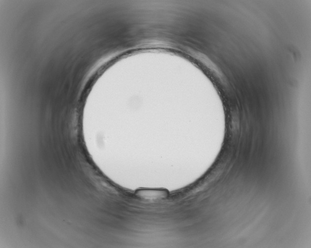 X0000110731364200907241219