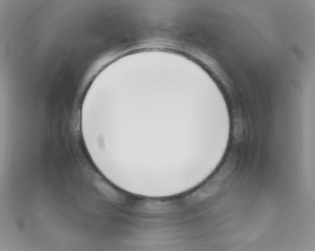 X0000110731366200907241219