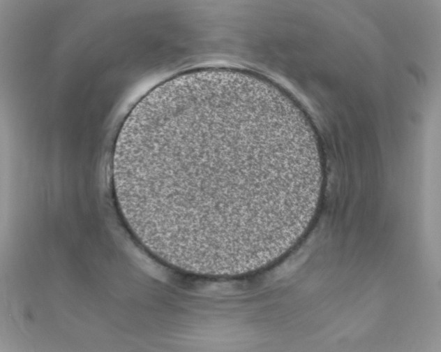 X0000110731367200907241219