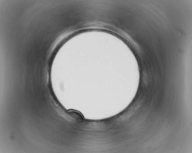 X0000110731368200907241219