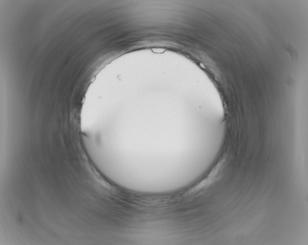 X0000110731369200907241219
