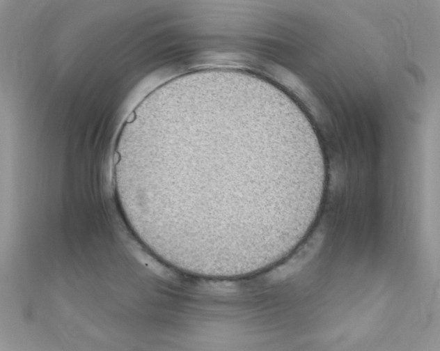 X0000110731370200907241219