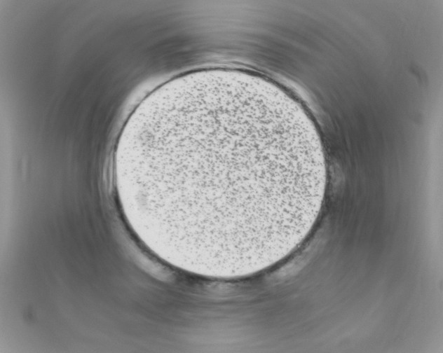X0000110731371200907241219