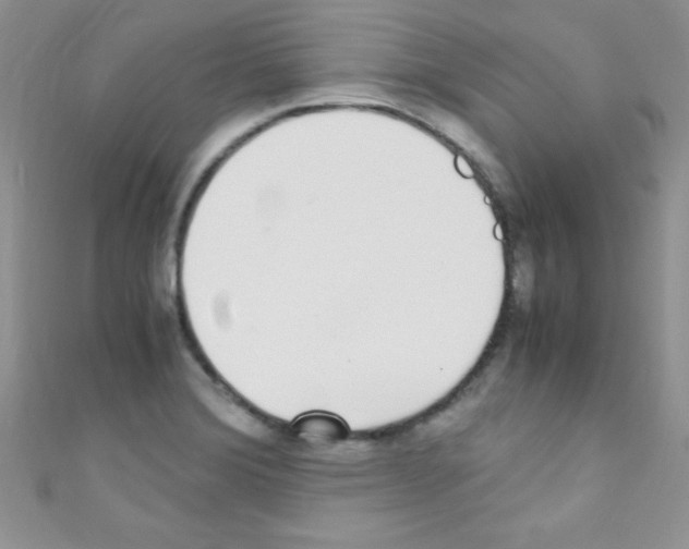 X0000110731372200907241219