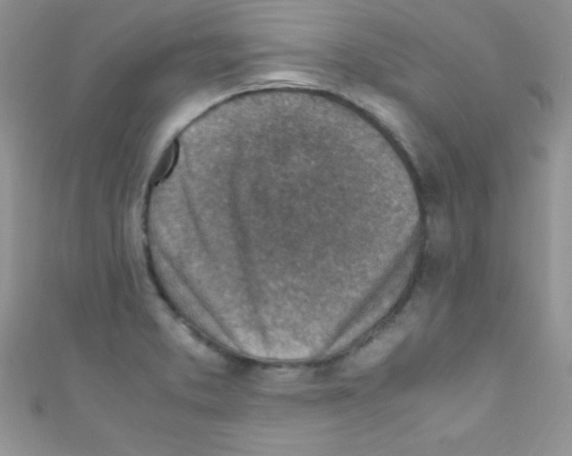 X0000110731373200907241219