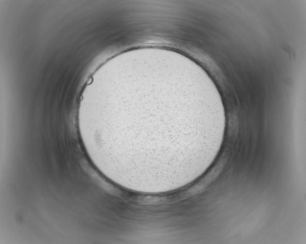 X0000110731374200907241219