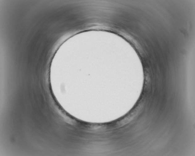 X0000110731375200907241219