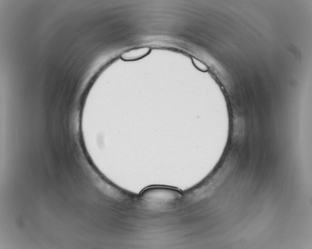 X0000110731376200907241219