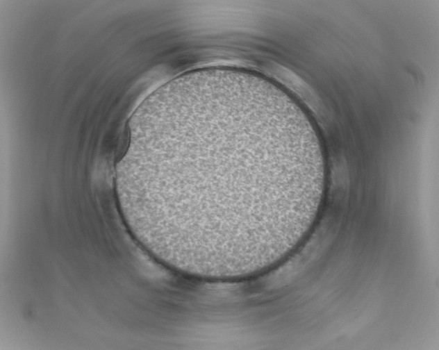 X0000110731377200907241219