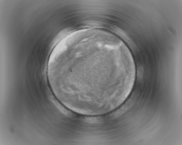 X0000110731378200907241219
