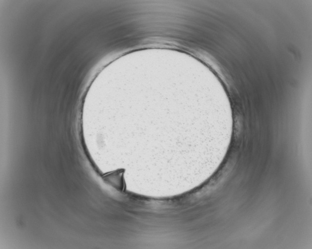 X0000110731379200907241219