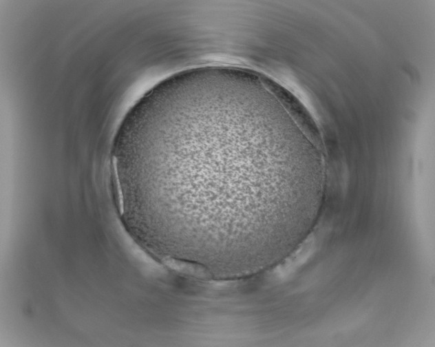X0000110731381200907241219