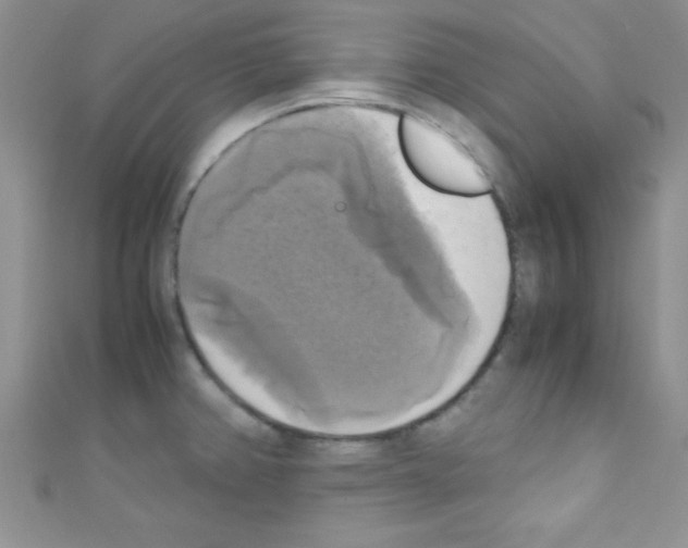 X0000110731382200907241219