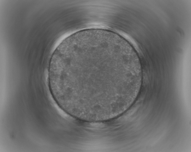 X0000110731383200907241219