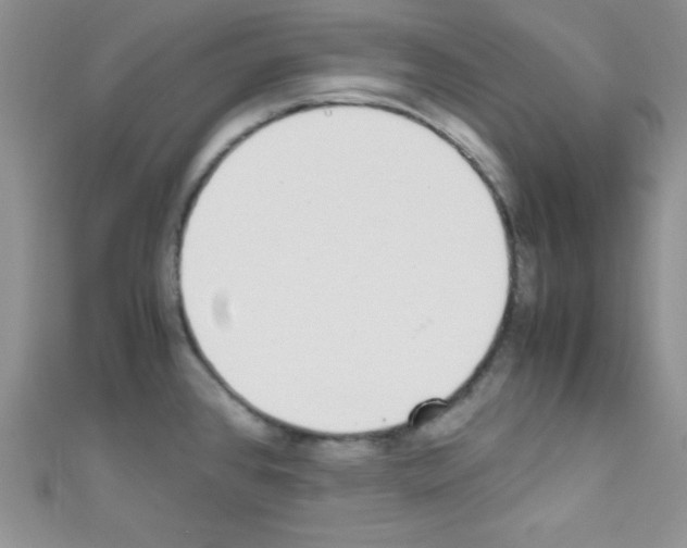 X0000110731384200907241219
