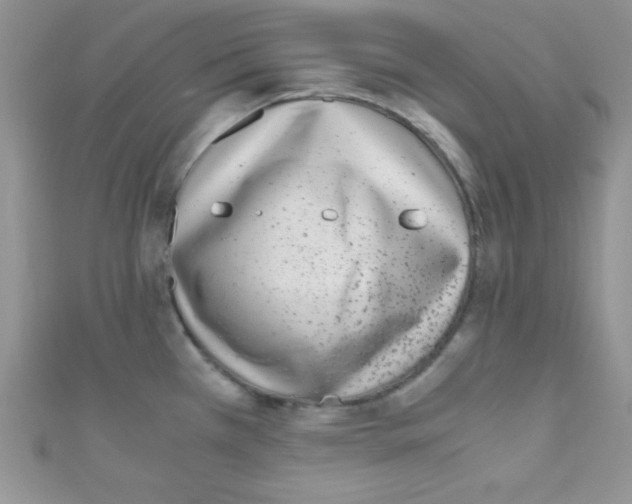 X0000110731385200907241219