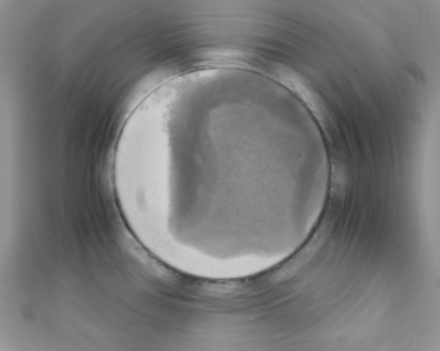 X0000110731386200907241219
