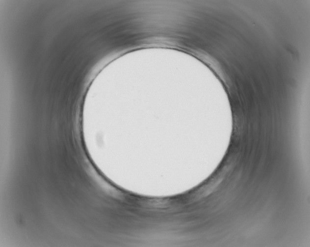 X0000110731387200907241219