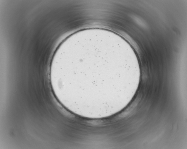 X0000110731388200907241219
