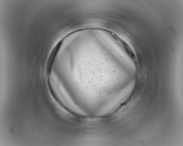 X0000110731389200907241219
