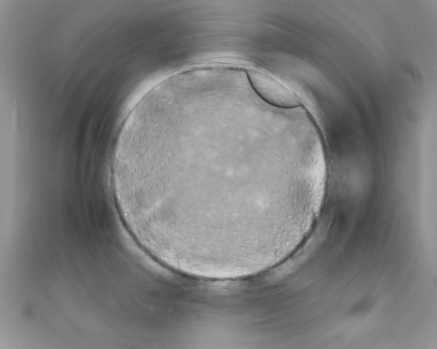 X0000110731390200907241219