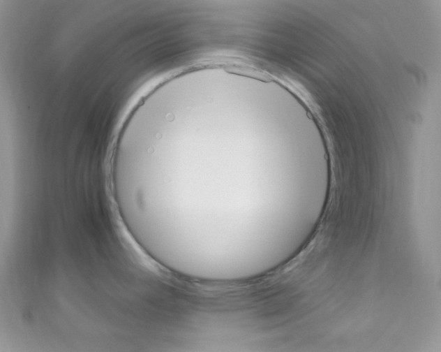 X0000110731392200907241219