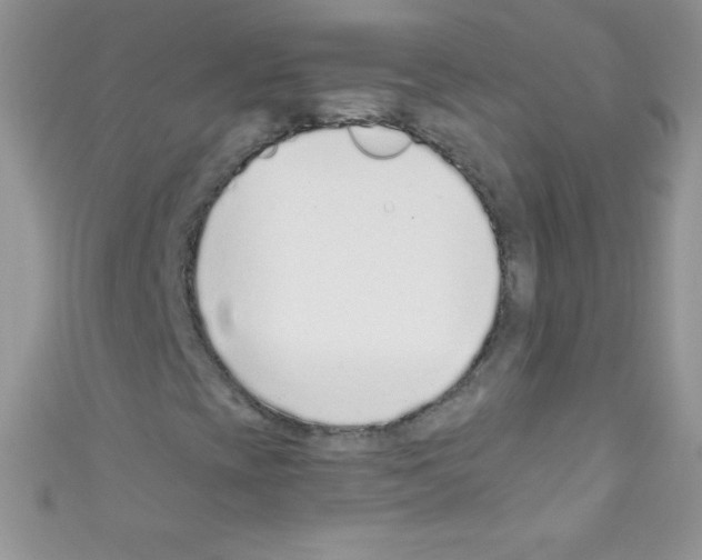 X0000110731393200907241218