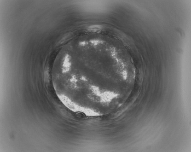 X0000110731394200907241218