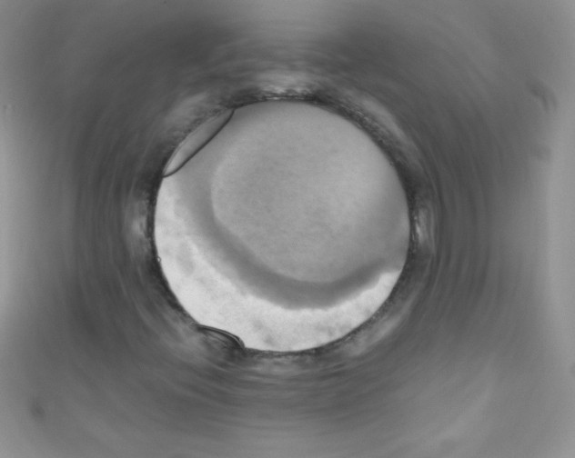 X0000110731396200907241218