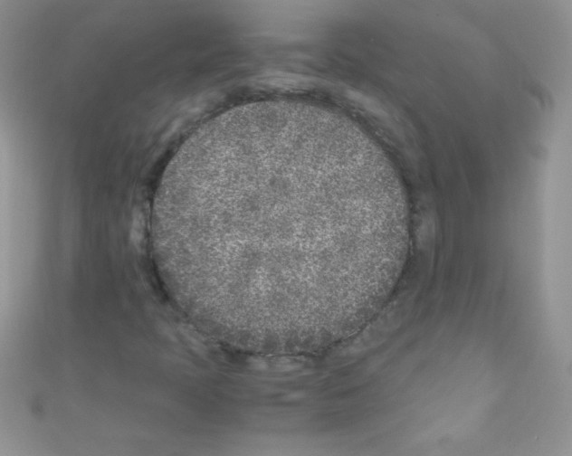 X0000110731397200907241218