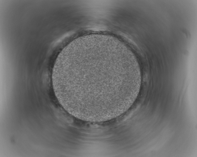 X0000110731398200907241218