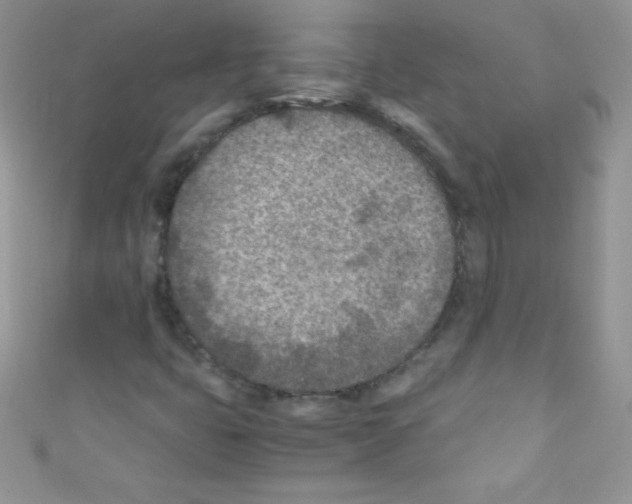 X0000110731399200907241218