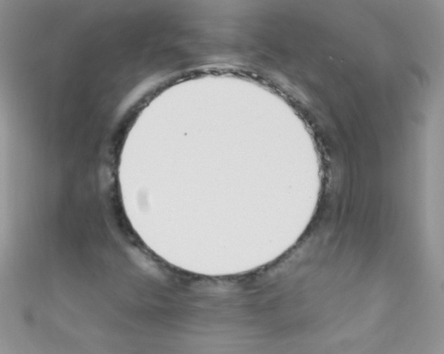 X0000110731400200907241218
