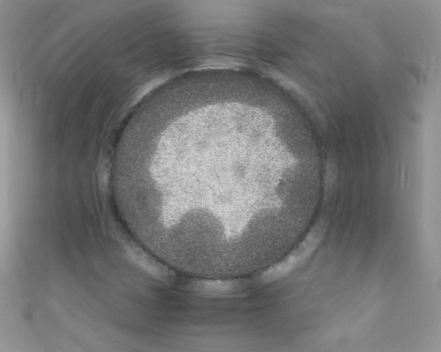 X0000110731401200907241218