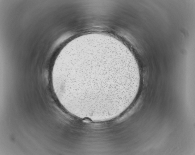 X0000110731402200907241218