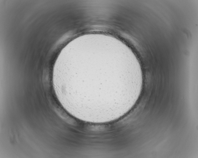 X0000110731403200907241218