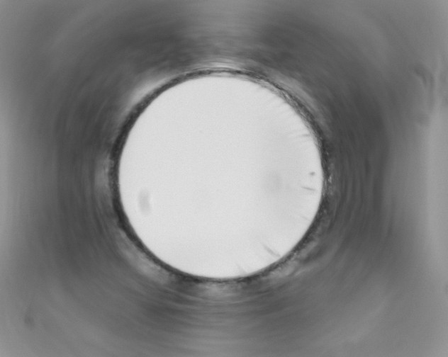 X0000110731404200907241218
