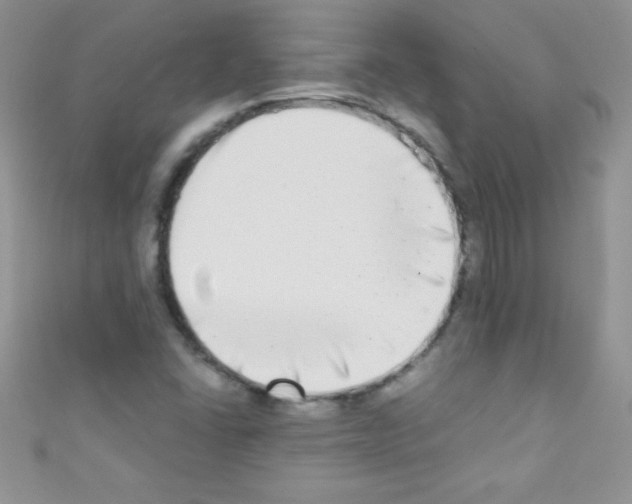 X0000110731406200907241218