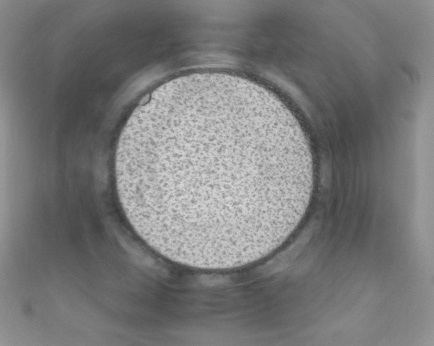 X0000110731407200907241218