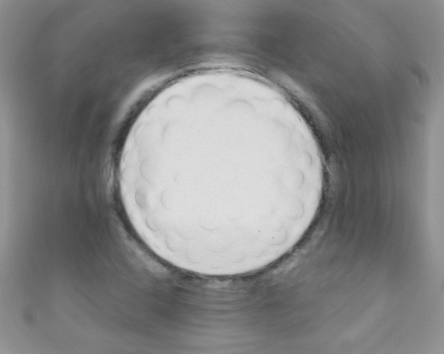 X0000110731408200907241218