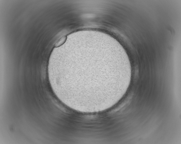 X0000110731409200907241218