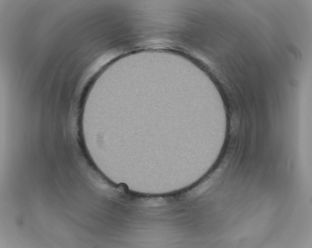X0000110731410200907241218