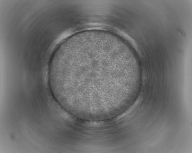 X0000110731411200907241218