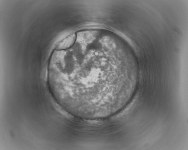 X0000110731413200907241218