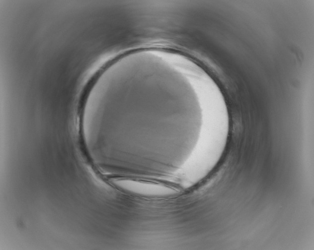 X0000110731414200907241218
