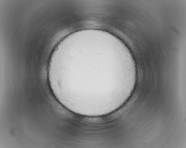 X0000110731415200907241218