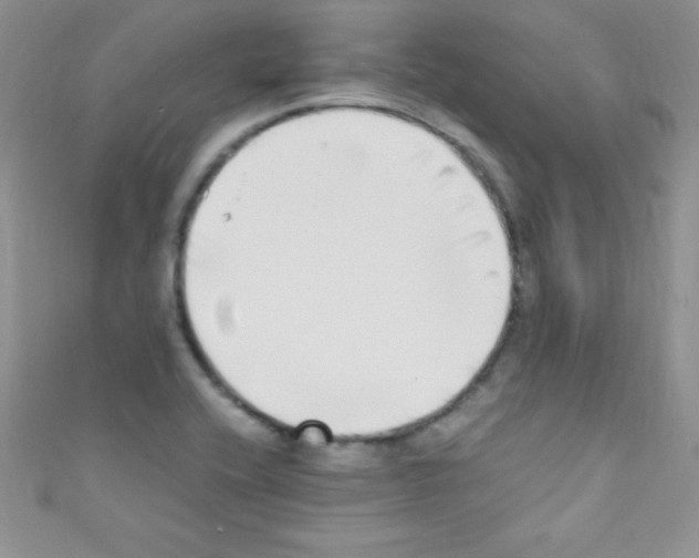 X0000110731416200907241218