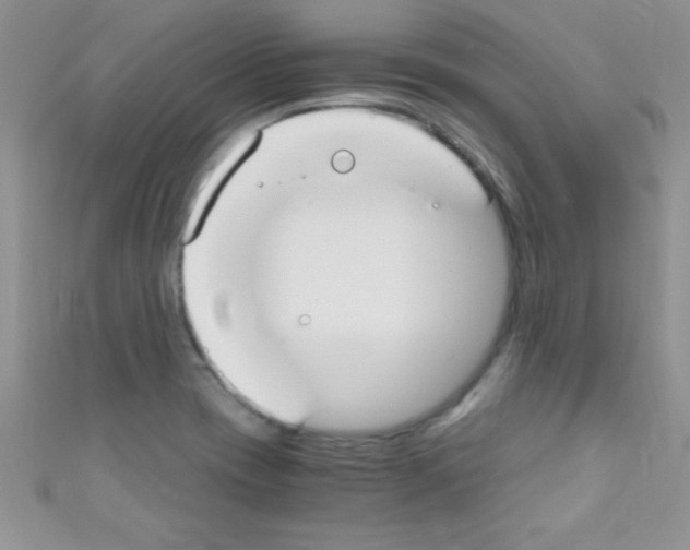 X0000110731417200907241218